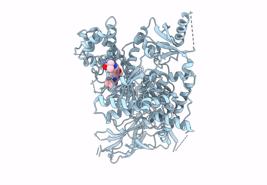 8EXL image