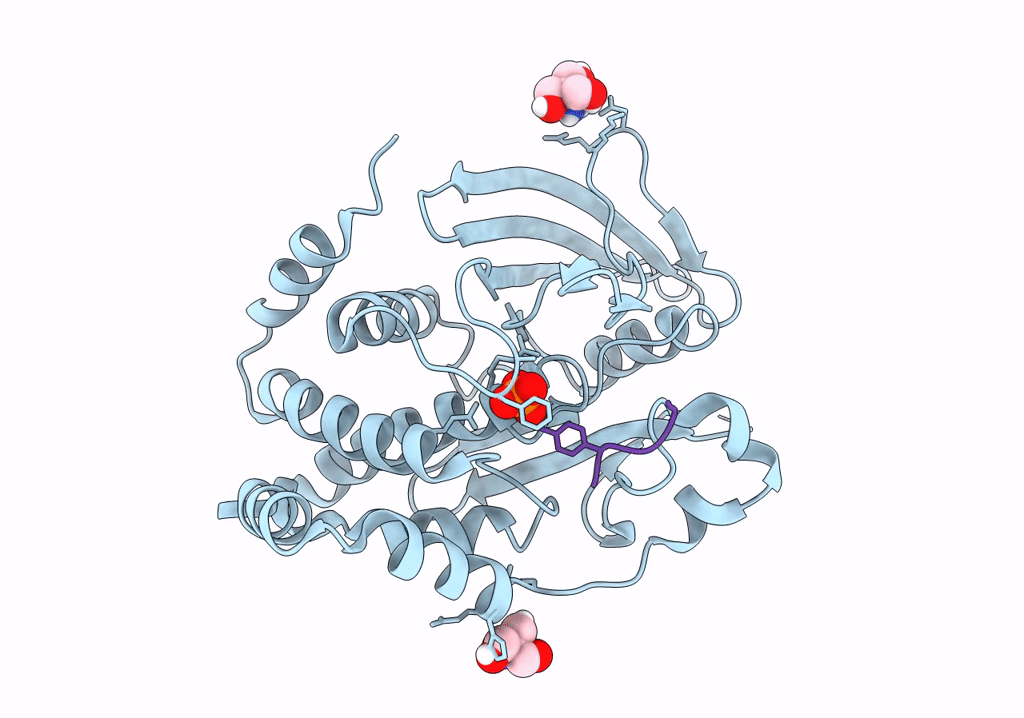 8EXN image