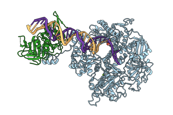8EXX image