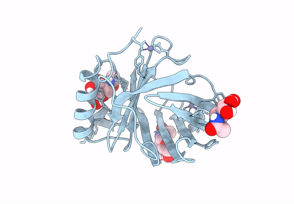 8F0V image