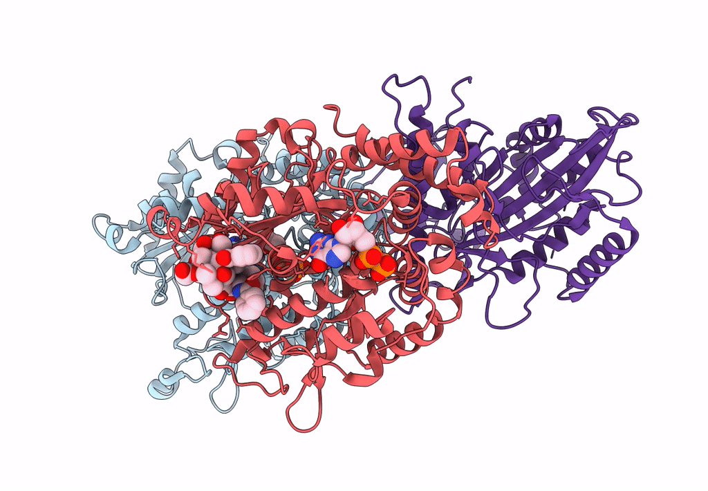 8F1A image