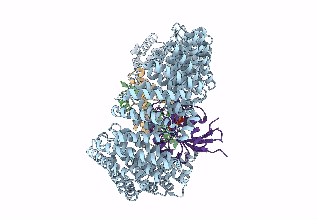 8F1E image