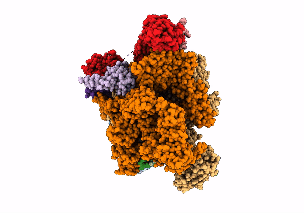 8F1J image