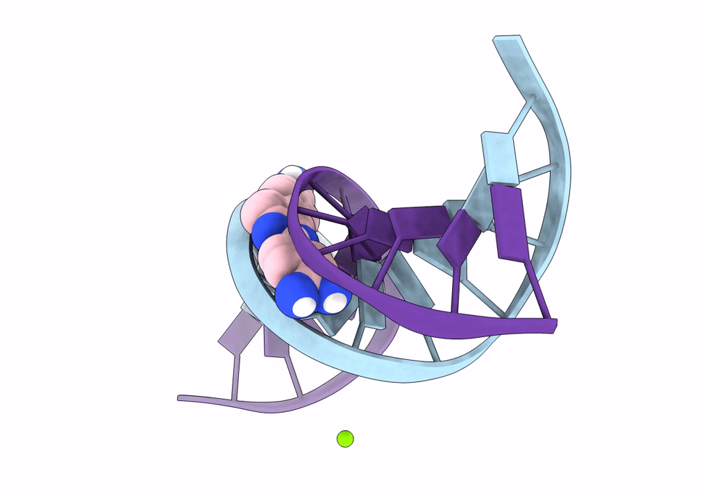8F1S image