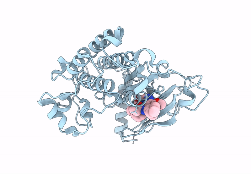 8F1X image