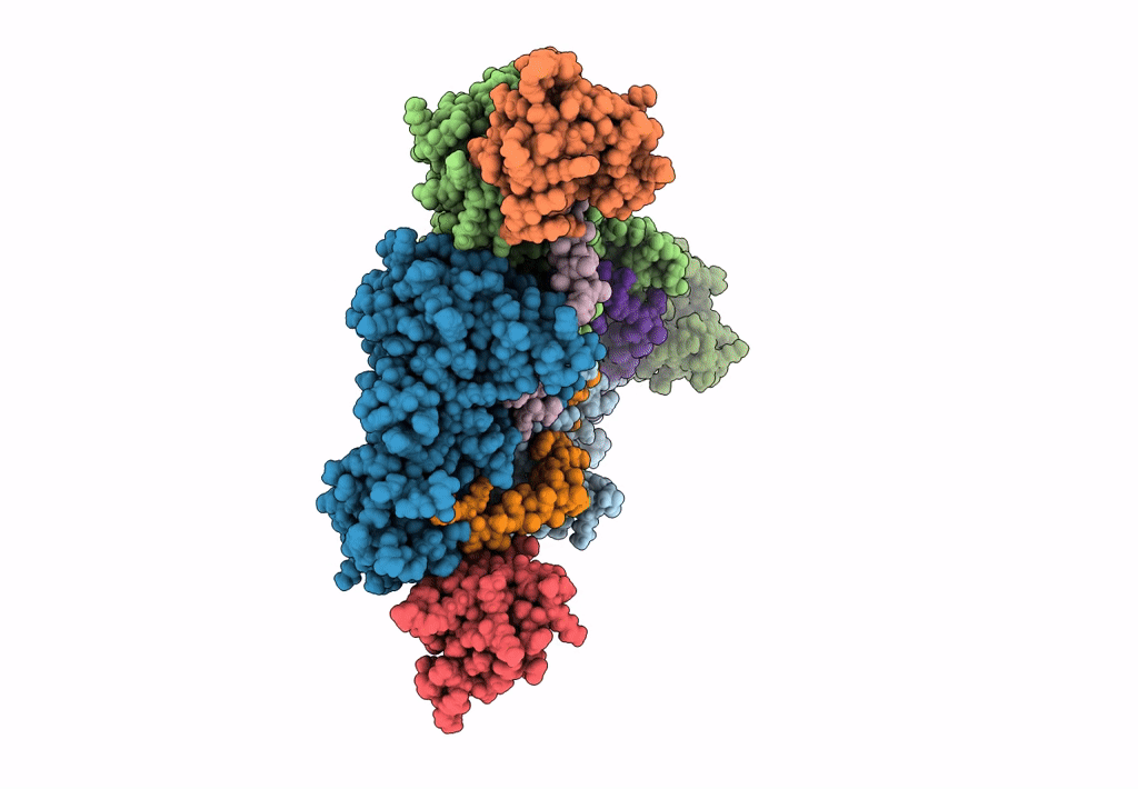 8F21 image