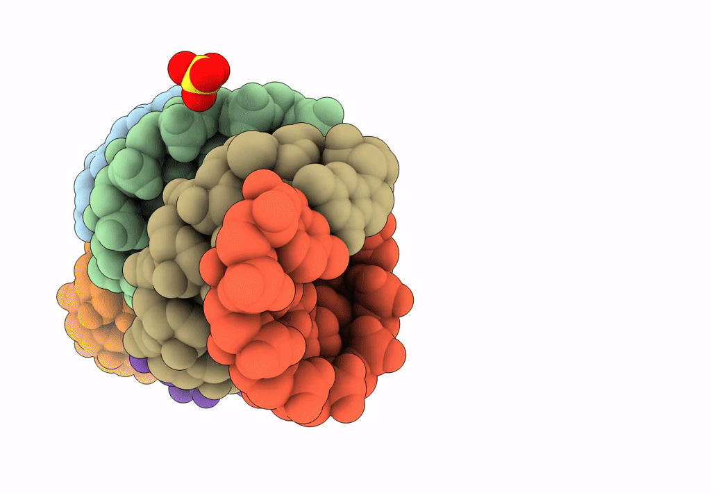 8F24 image
