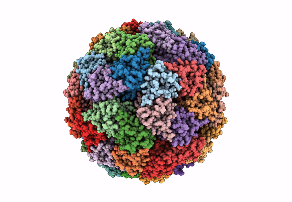 8F25 image