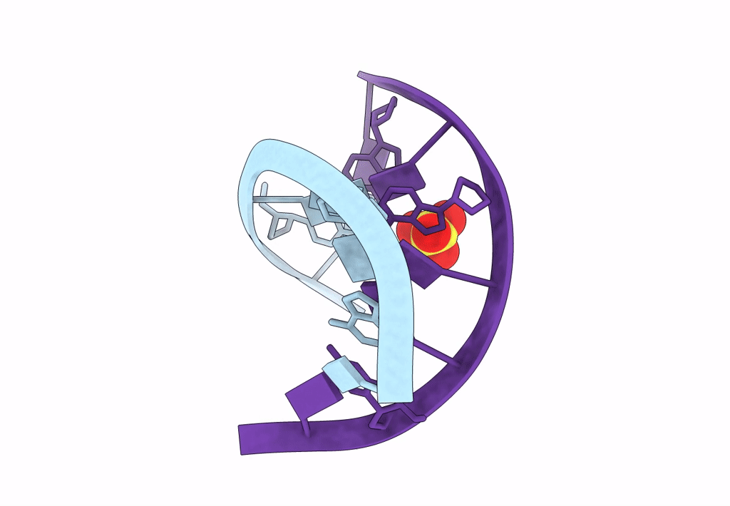 8F27 image