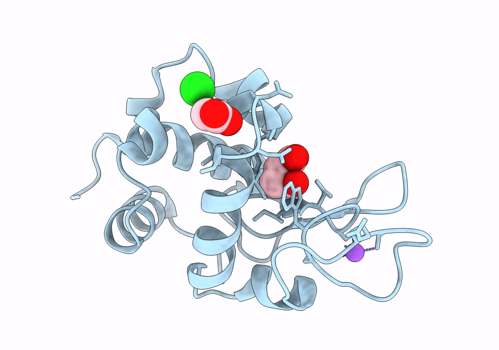 8F28 image