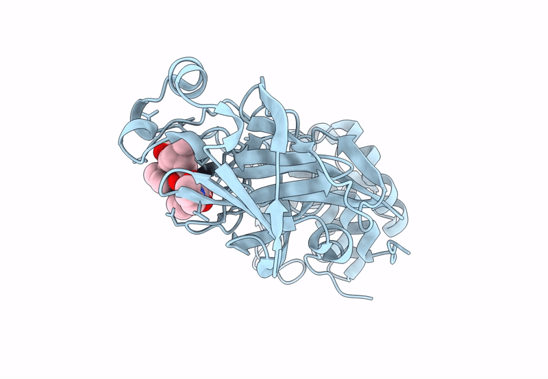8F2D image