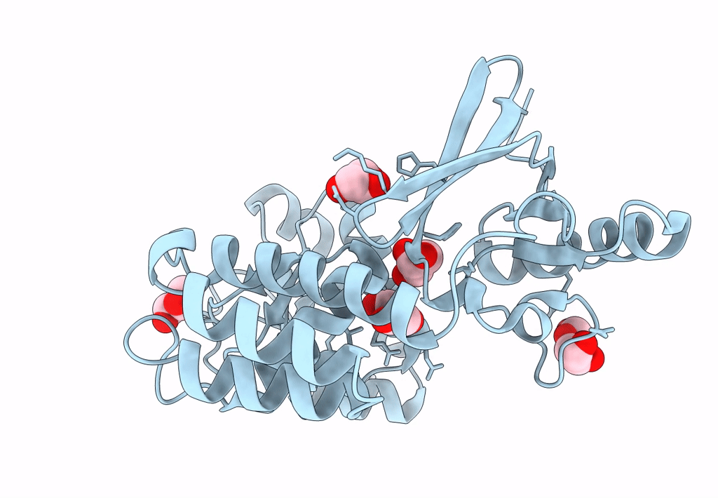 8F2E image