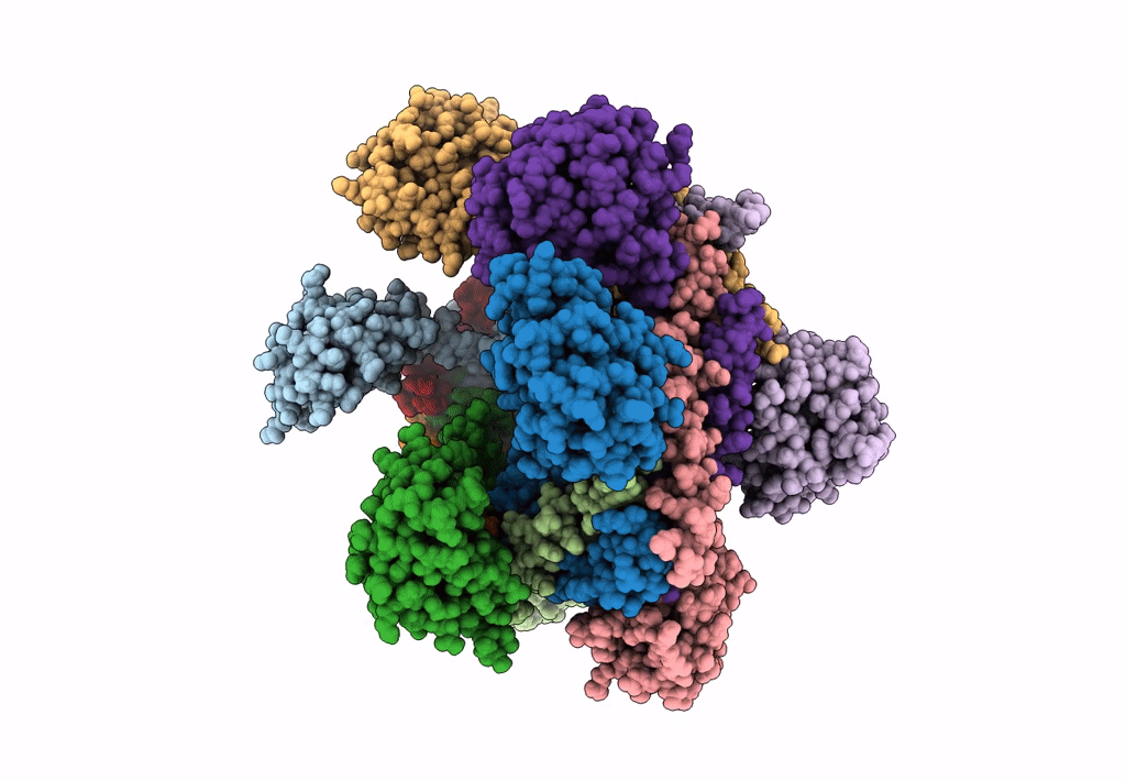 8F2R image