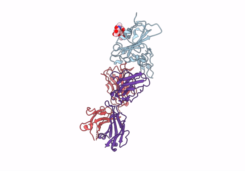 8F2X image