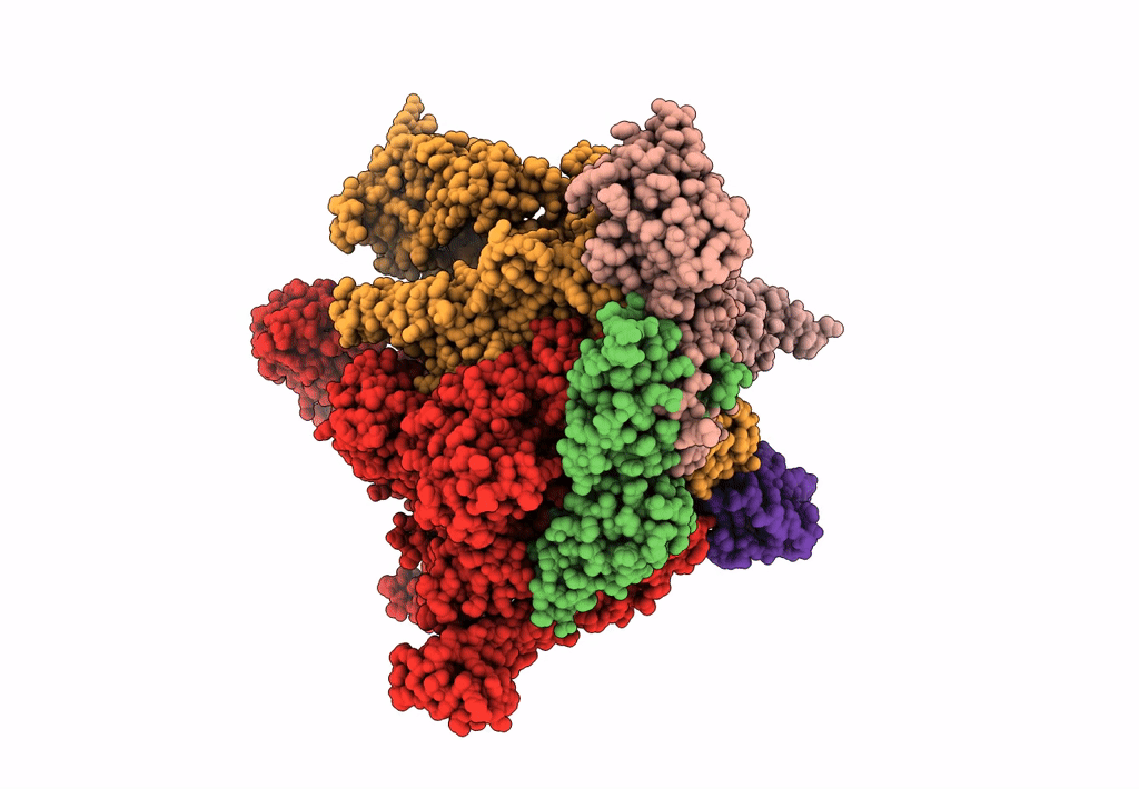 8F3C image