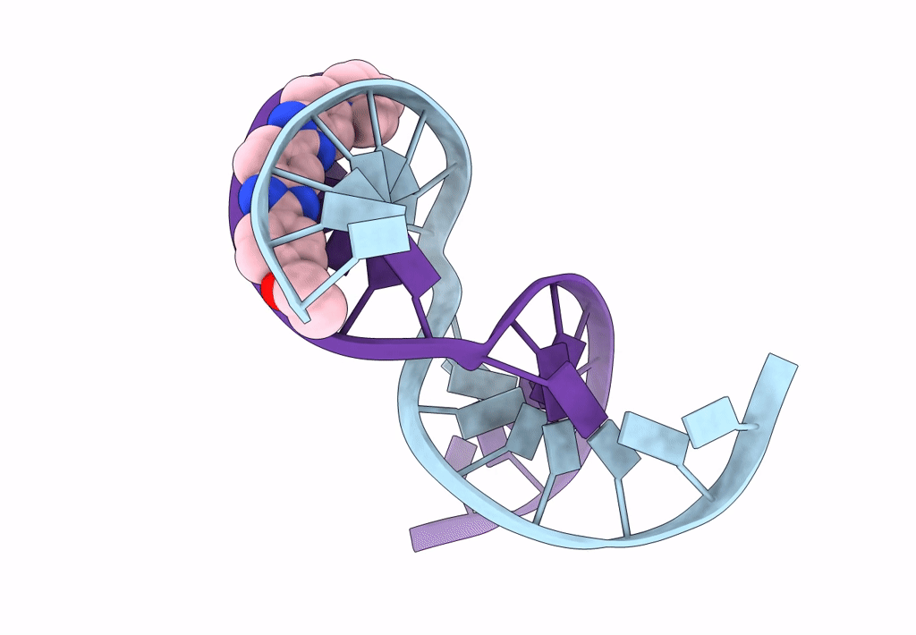 8F42 image