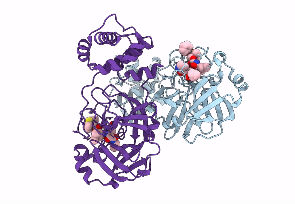 8F45 image