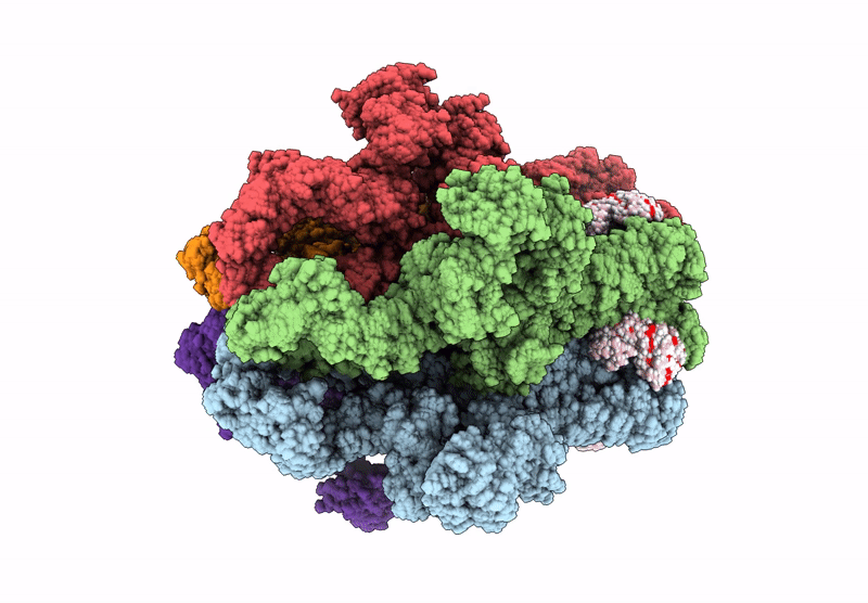 8F4V image