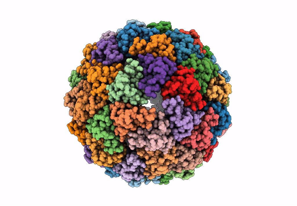 8F4X image