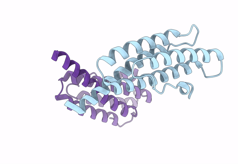 8F5H image