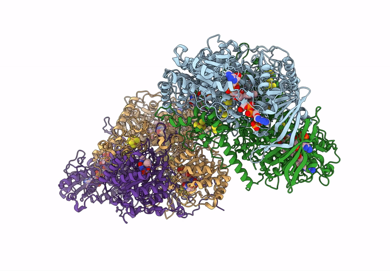 8F5W image