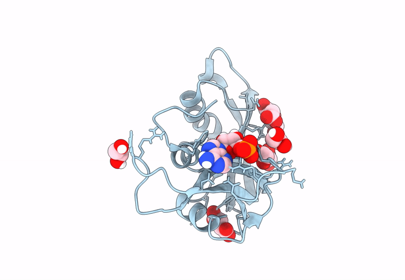 8F5X image