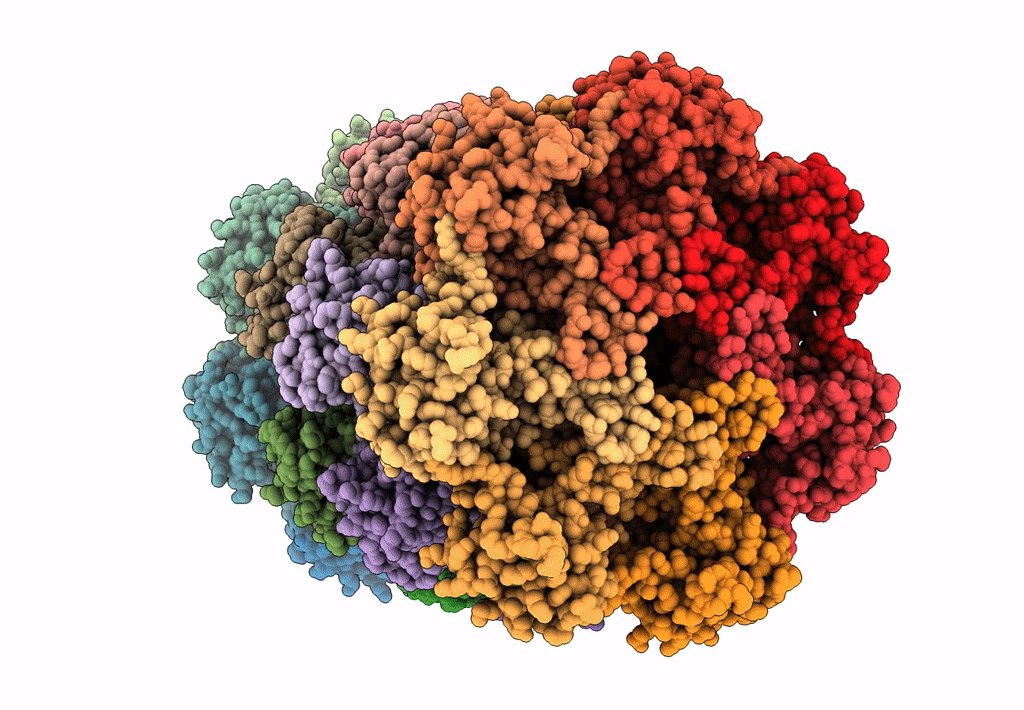 8F66 image