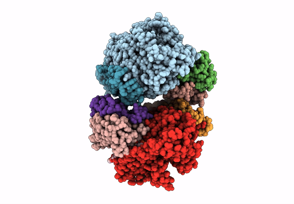 8F6C image