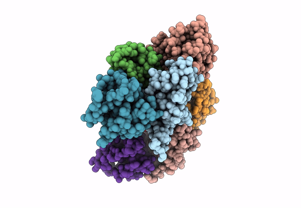 8F6D image