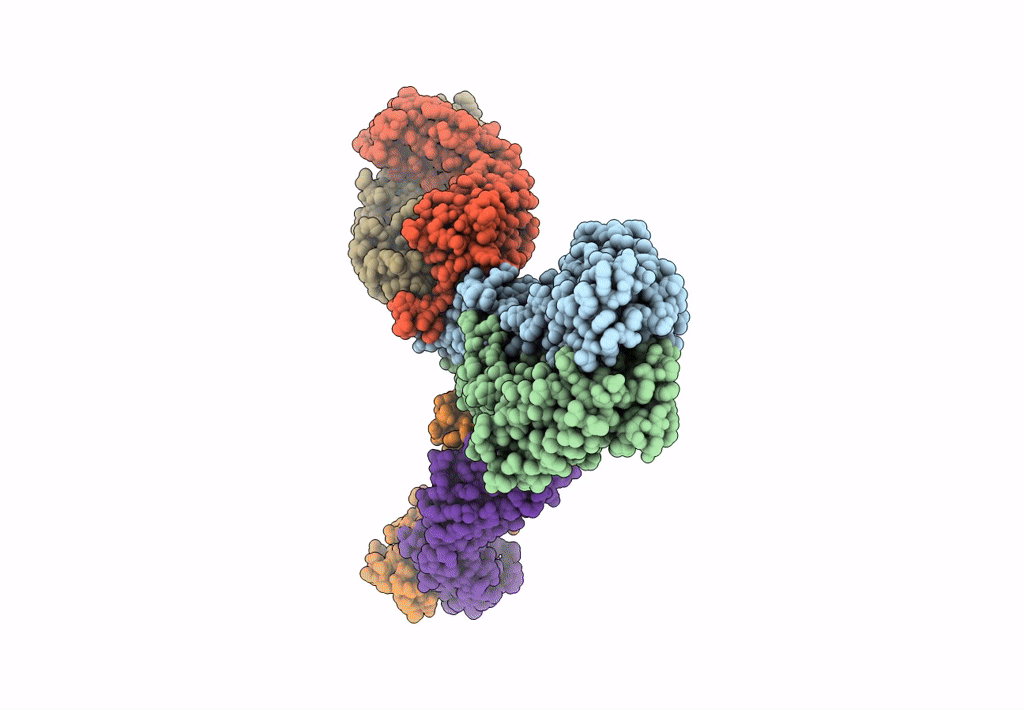 8F6J image