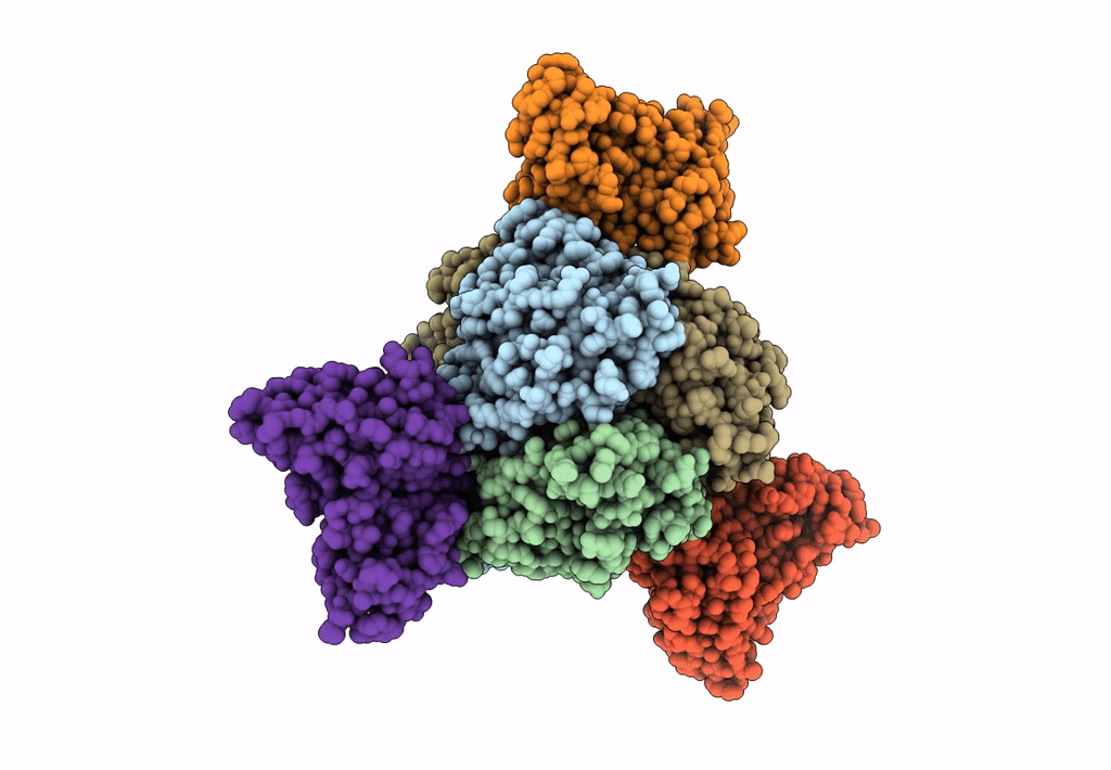 8F6X image