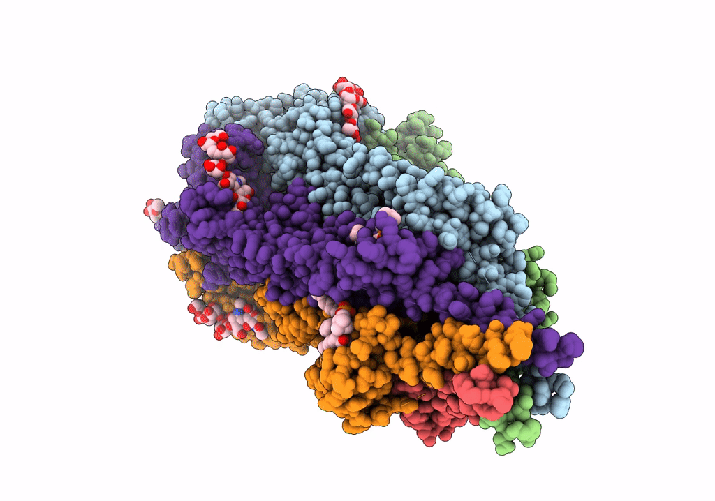 8F6Z image