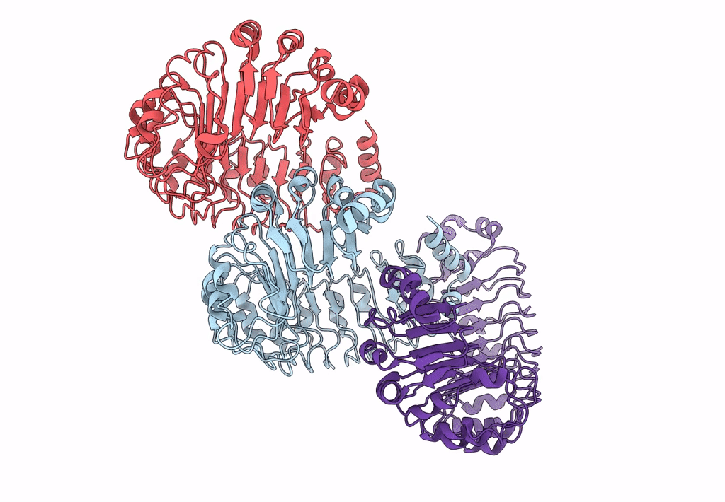 8F75 image
