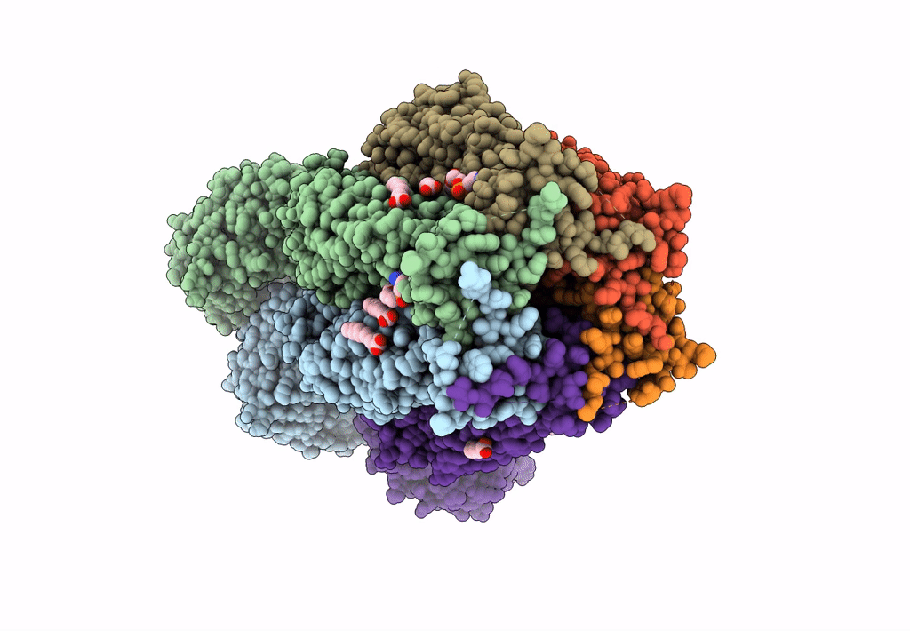 8F77 image
