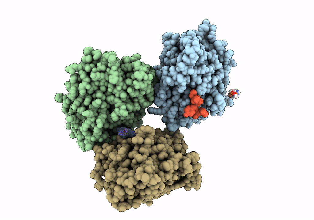 8F88 image