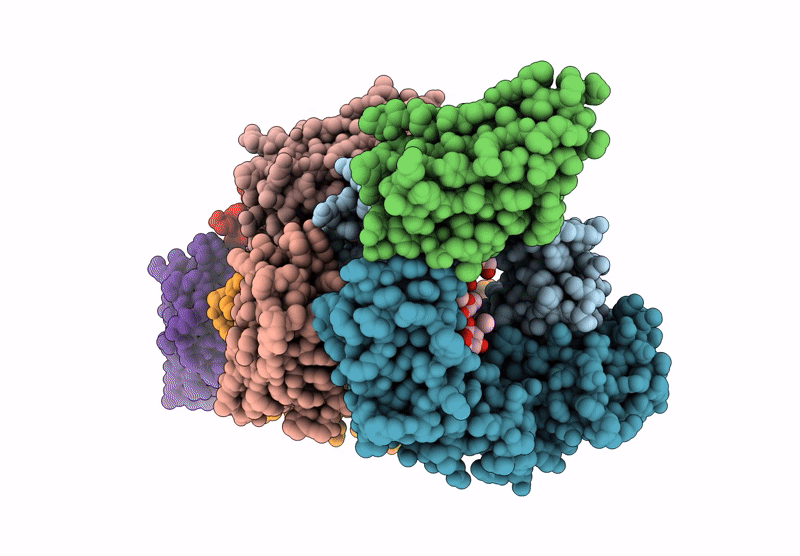 8F8W image
