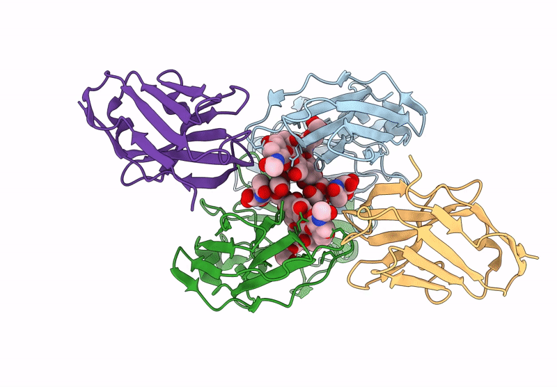 8F8X image