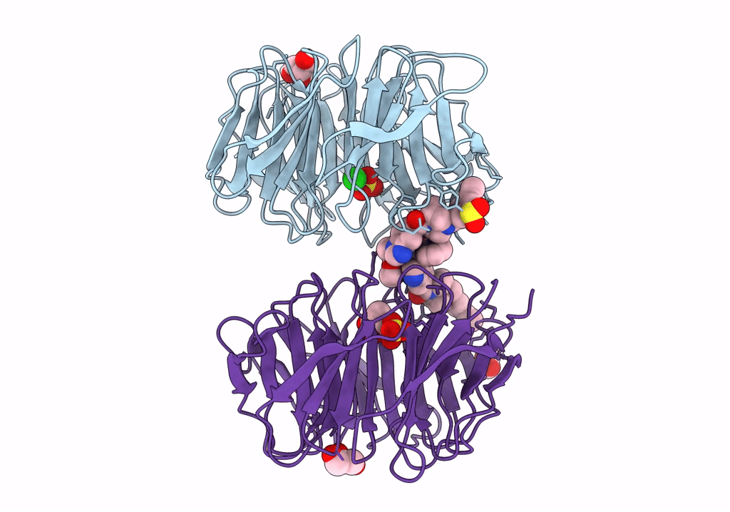 8F93 image