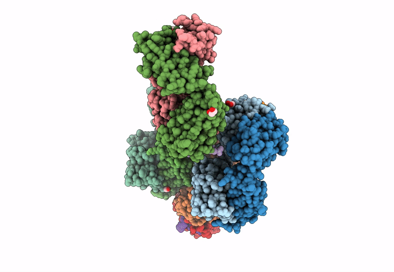8F9W image