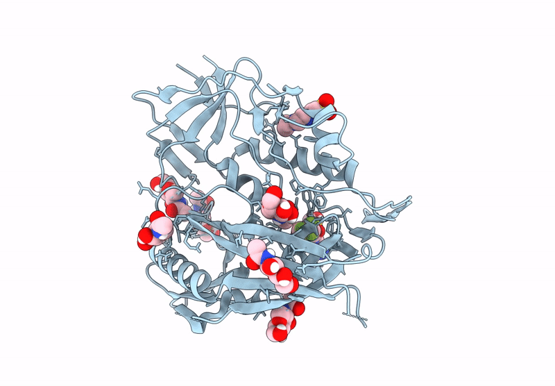 8F9Z image