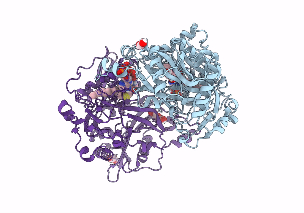 8FBT image