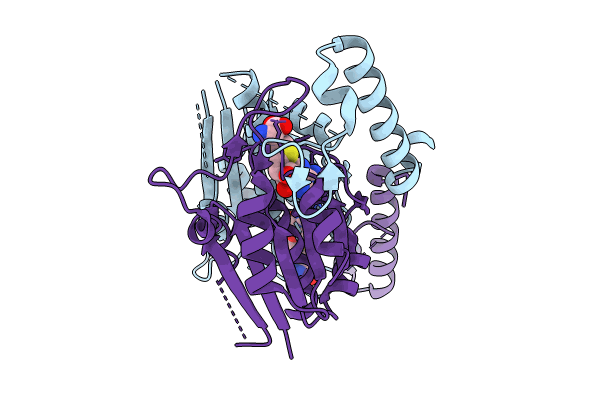 8FCI image