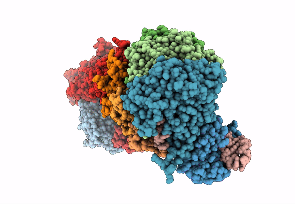 8FD3 image