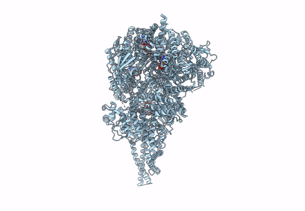 8FD6 image