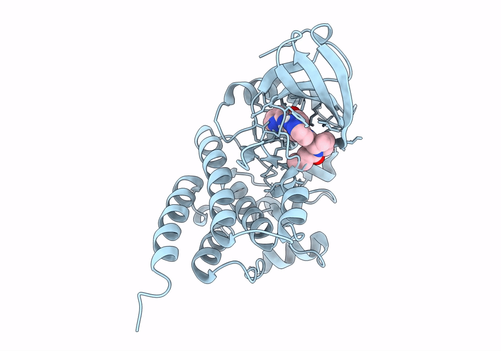 8FD9 image