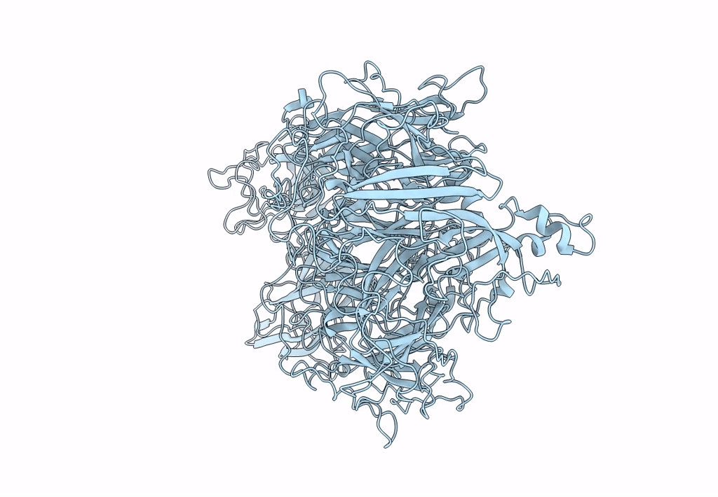 8FDG image