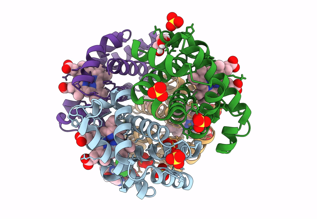 8FDL image
