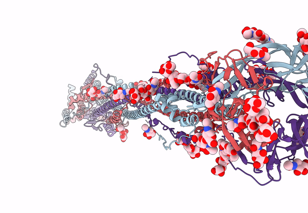 8FDW image