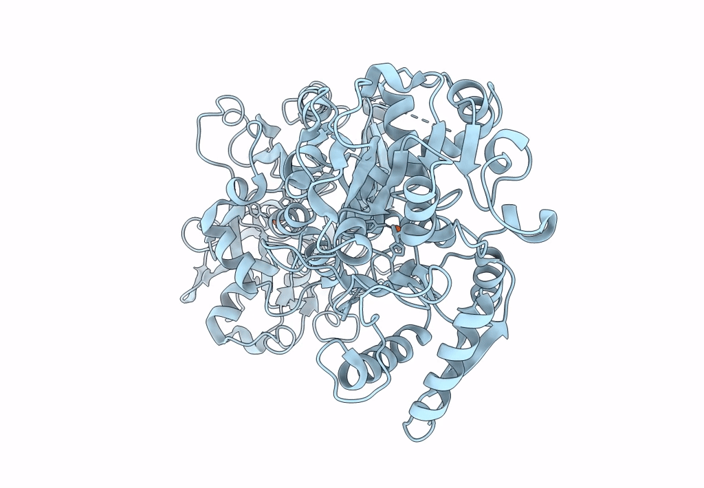 8FEI image