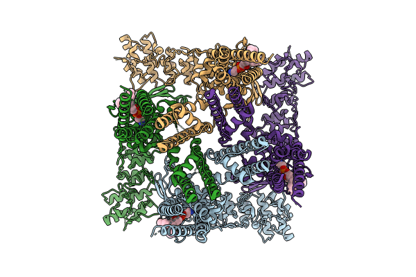 8FFL image